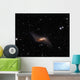 Ngc660 Distorted Polar Ring Wall Decal