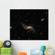 Ngc660 Distorted Polar Ring Wall Decal