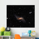 Ngc660 Distorted Polar Ring Wall Decal