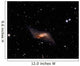 Ngc660 Distorted Polar Ring Wall Decal