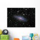 Ngc7331 Galaxy and Its Wall Decal