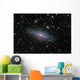 Ngc7331 Galaxy and Its Wall Decal