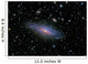 Ngc7331 Galaxy and Its Wall Decal