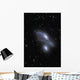 Eyes Galaxies Ngc 4435 Wall Decal