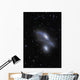 Eyes Galaxies Ngc 4435 Wall Decal