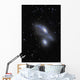 Eyes Galaxies Ngc 4435 Wall Decal