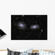 Gravitationally Distorted Galaxies Ngc Wall Decal
