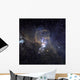 Loops Ngc 3576 Wall Decal