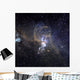 Loops Ngc 3576 Wall Decal