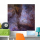 Eta Carinae Nebula Wall Decal