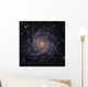 Ic 342 Intermediate Spiral Wall Decal