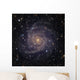 Ic 342 Intermediate Spiral Wall Decal