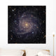 Ic 342 Intermediate Spiral Wall Decal