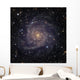 Ic 342 Intermediate Spiral Wall Decal