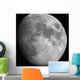 Moon Wall Decal Design 1