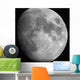 Moon Wall Decal Design 1