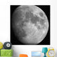 Moon Wall Decal Design 1