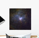 Ngc 1491 Emission Nebula Wall Decal
