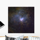 Ngc 1491 Emission Nebula Wall Decal