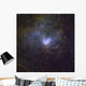 Ngc 1491 Emission Nebula Wall Decal