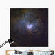 Ngc 1491 Emission Nebula Wall Decal