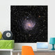 Fireworks Galaxy Wall Decal