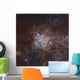 Tarantula Nebula Wall Decal