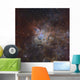 Tarantula Nebula Wall Decal