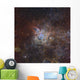 Tarantula Nebula Wall Decal