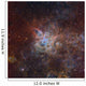 Tarantula Nebula Wall Decal