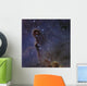 Elephant's Trunk Nebula Star Wall Decal