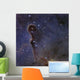 Elephant's Trunk Nebula Star Wall Decal