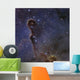 Elephant's Trunk Nebula Star Wall Decal