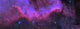 Cygnus Wall Ngc 7000 Wall Decal
