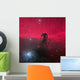 Horsehead Nebula Wall Decal