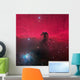 Horsehead Nebula Wall Decal