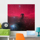 Horsehead Nebula Wall Decal