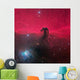 Horsehead Nebula Wall Decal