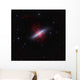 Messier 82 Starburst Galaxy Wall Decal