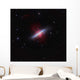 Messier 82 Starburst Galaxy Wall Decal