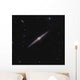 Ngc 4565 Known as Wall Decal
