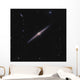 Ngc 4565 Known as Wall Decal