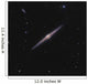 Ngc 4565 Known as Wall Decal