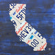 California License Plate Map Wall Mural