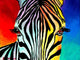 Zebra Wall Mural