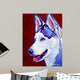 Siberian Husky Wall Mural