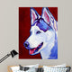 Siberian Husky Wall Mural