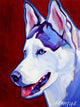 Siberian Husky Wall Mural