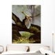 Archaeopteryx Log above Stream Wall Decal