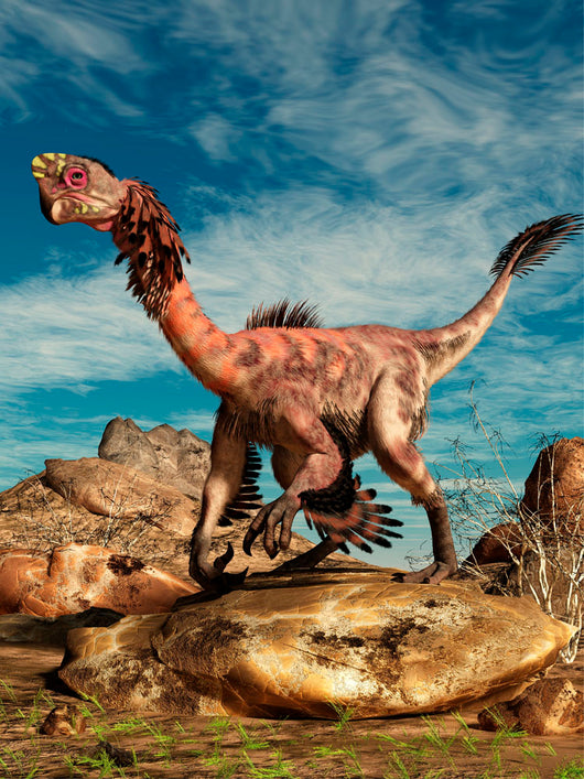 Citipati Rock Arid Landscape Wall Decal